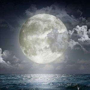 Meet your Posher, Cessy